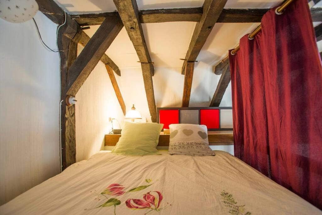 Appartement De Caractere Au Coeur Du Vieux Tours Exteriör bild